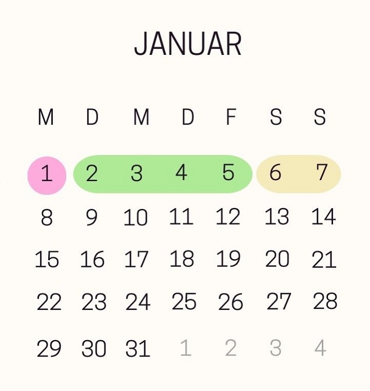 Monatskalender Januar 2024 mit den Brückentagen für Neujahr