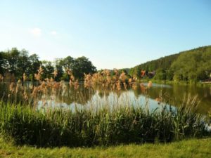 Schlesiens Schlösser und Gärten Tschechien Teich Natur