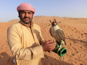 Falke auf dem Arm eines Mannes in der Wüste Dubais