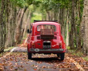 roter Fiat 500 mit Koffer fährt durch eine Allee mit Blättern auf der Straße