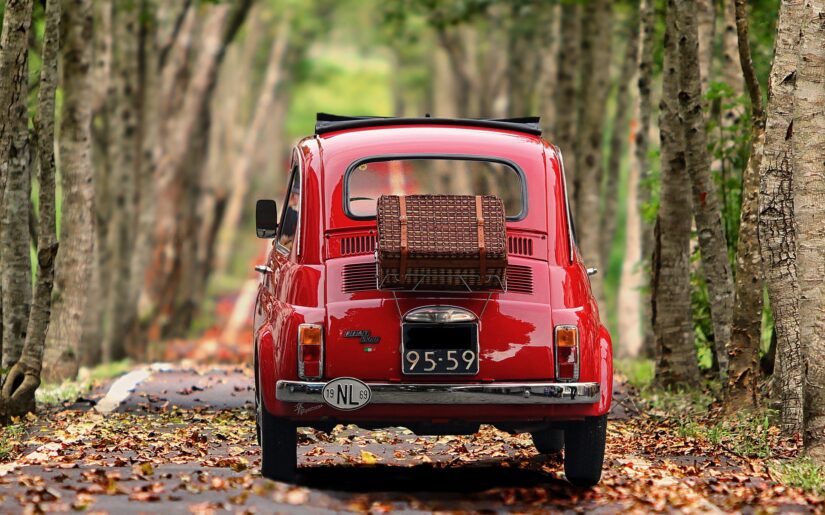 roter Fiat 500 mit Koffer fährt durch eine Allee mit Blättern auf der Straße