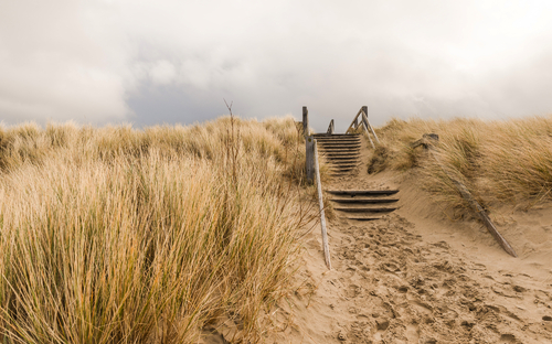 Blankenberge - Dünenweg - ©Matthias - stock.adobe.com
