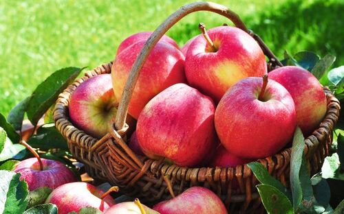 Südtiroler Äpfel - © photocrew - Fotolia