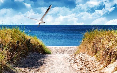 Ostseestrand