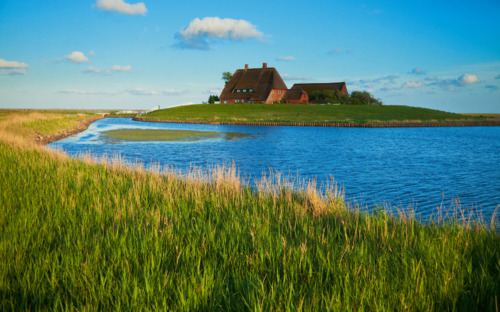 Hallig Hooge - © c_images - Fotolia