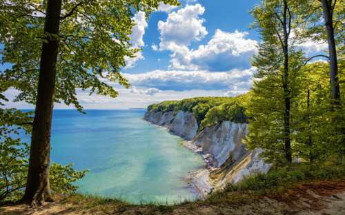 Rügen - Kreidefelsen