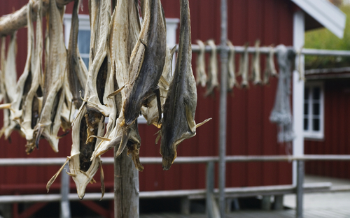 Stockfisch - © CH / VisitNorway.com