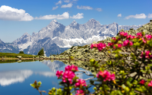 Blick auf das Dachsteinmassiv - ©serkat Photography - stock.adobe.com