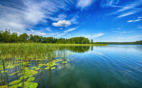 Masurische Seenplatte - © Piotr Krzeslak - stock.adobe.com