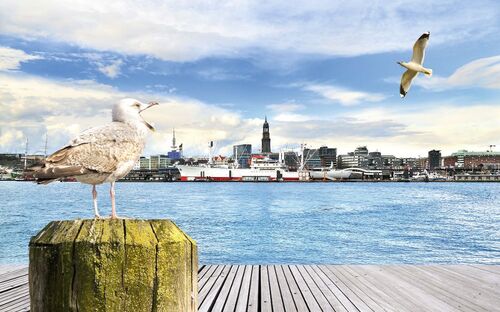 Moin Moin in Hamburg - © Carmen Steiner - Fotolia