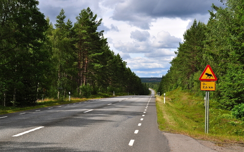 Straße in Smaland - © hachri - stock.adobe.com