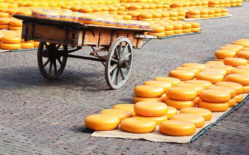 Alkmaar - Käsemarkt - © jens1874 - Fotolia