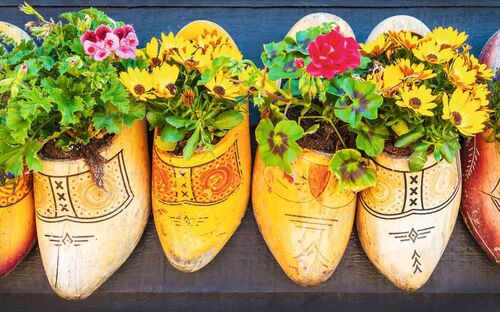 Bepflanzte Holzschuhe - © mediagram - Fotolia