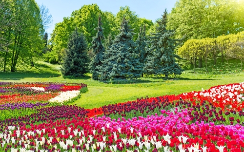 Keukenhof - © Pavlo Vakhrushev - Fotolia