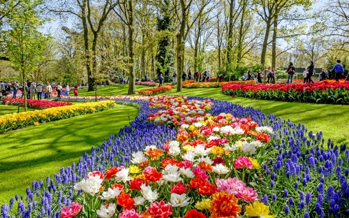 Keukenhof