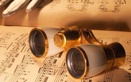 Operettenbesuch - © andrea lehmkuhl - Fotolia