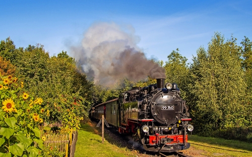 Dampfbahnfahrt - Foto: Mario England