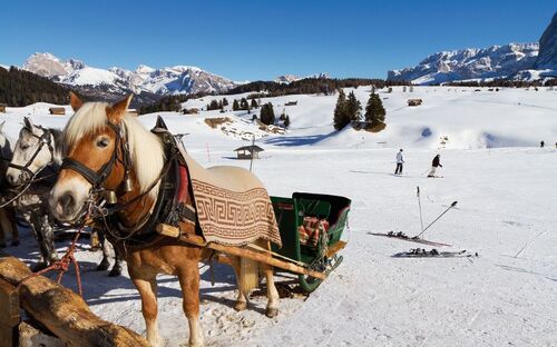 Pferdeschlitten auf der Seisser Alm - © Jan Schuler - Fotolia