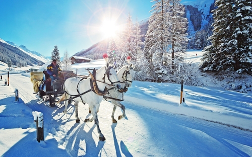 Pferdeschlittenfahrt - © TIMDAVIDCOLLECTION - stock.adobe.com