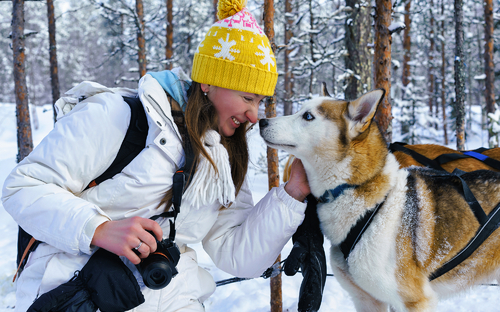 Husky - © Roman Babakin - stock.adobe.com