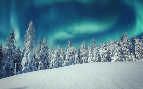 Lappland - Polarlichter