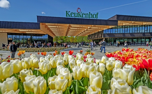 Keukenhof - Tulpenpracht