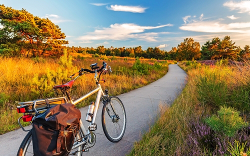 Nationalpark - Die Veluwe - © DutchScenery - stock.adobe.com