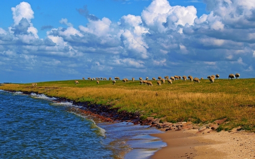 Idylle am Ijsselmeer - © Whyona - stock.adobe.com