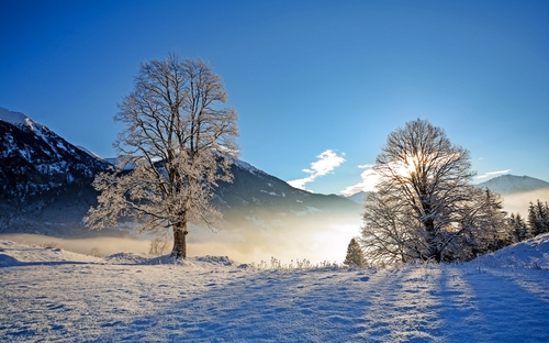Winterliches Dachsteinmassiv - © ah_fotobox - stock.adobe.com
