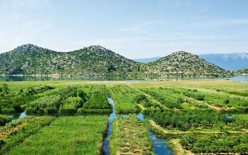 Neretva-Delta - © CCat82 - Fotolia
