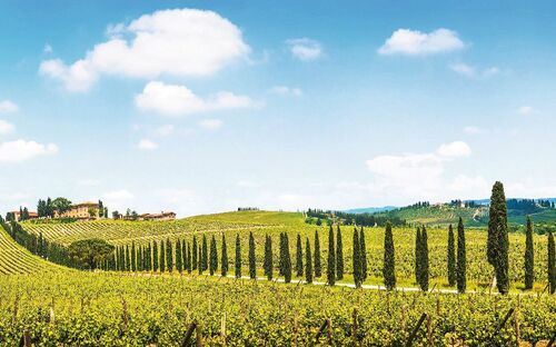 Chianti-Tal