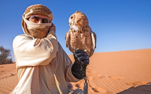 Falknerei in Dubai - © Kertu - Fotolia