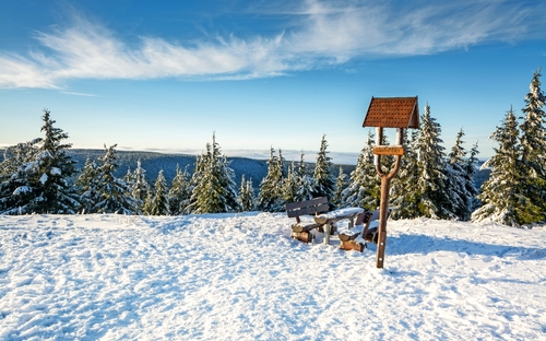 Thüringer Wald
