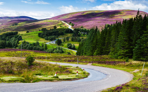 Cairngorms-Nationalpark - © Milosz Maslanka - stock.adobe.com