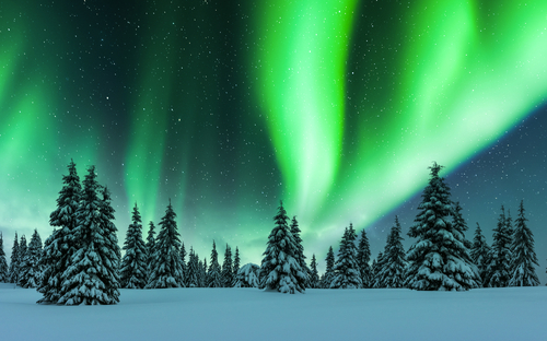 Nordlichter im Winterwald - © Ivan Kmit - stock.adobe.com