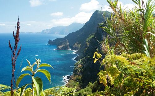 Madeira - Steilküste - © Rulan - Fotolia