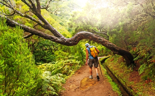 Wanderung auf Madeira - © Galyna Andrushko - stock.adobe.com