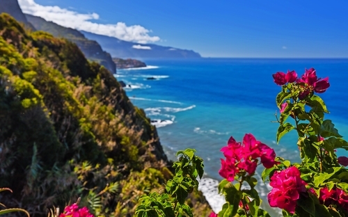 Madeira - Steilküste - © Nikolai Sorokin - stock.adobe.com