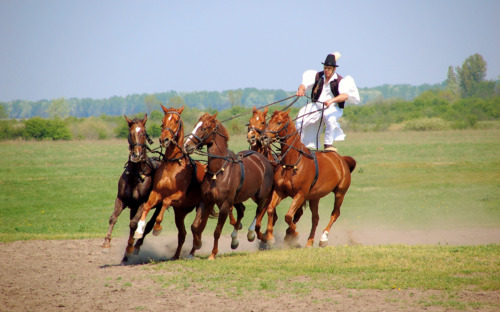 Puszta - Show