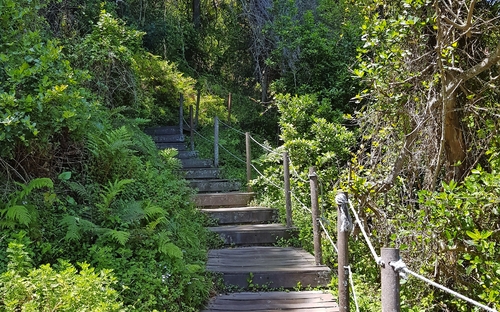 Tsitsikamma Nationalpark