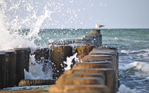 Rügen - Ostsee