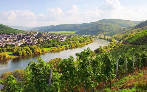 Blick auf die Mosel - © LianeM - Fotolia