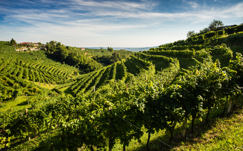 Prosecco-Straße - ©Massimiliano - stock.adobe.com