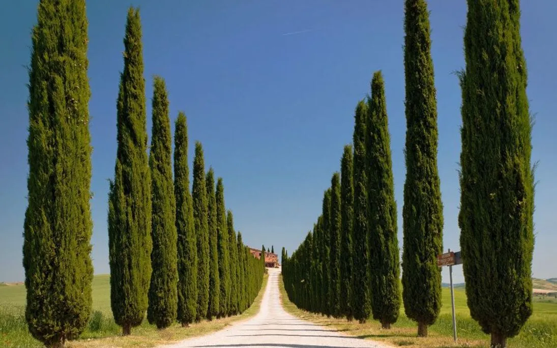 Italien - Landscahft - © Grischa Georgiew - Fotolia