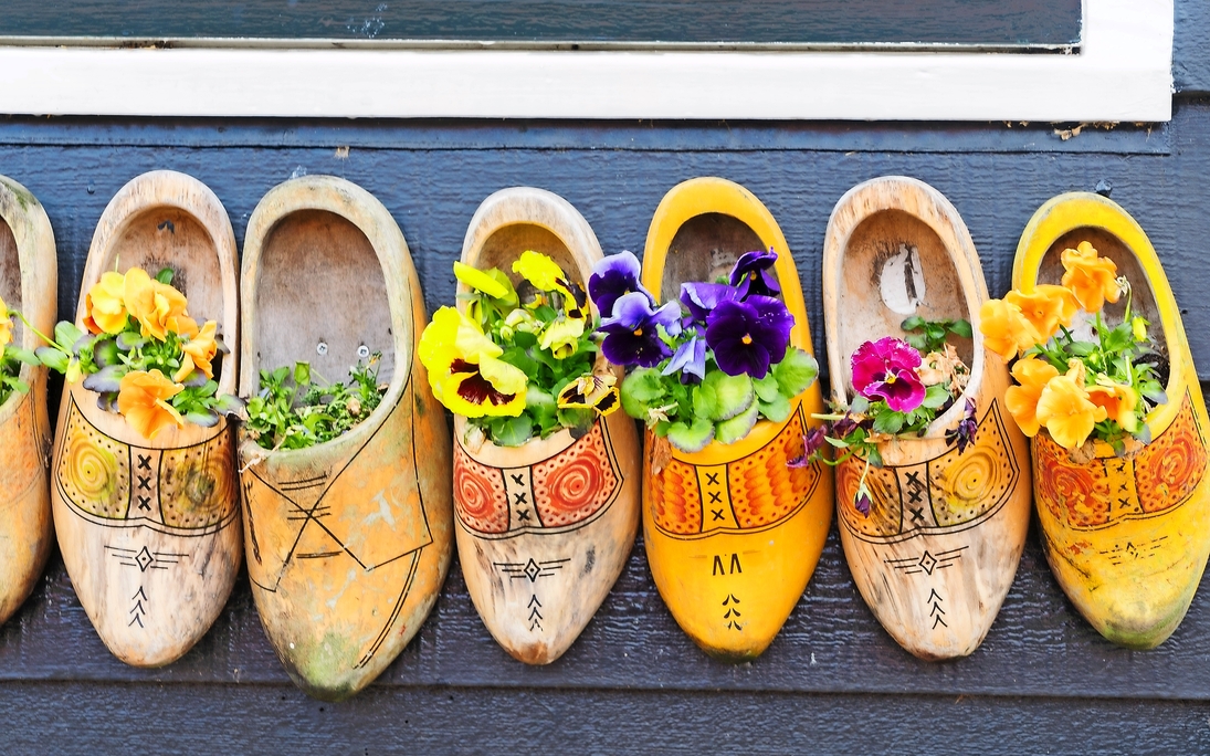 Traditionelle holländische Schuhe Clogs mit frischen Blumen ganz nah - © neirfy - Fotolia