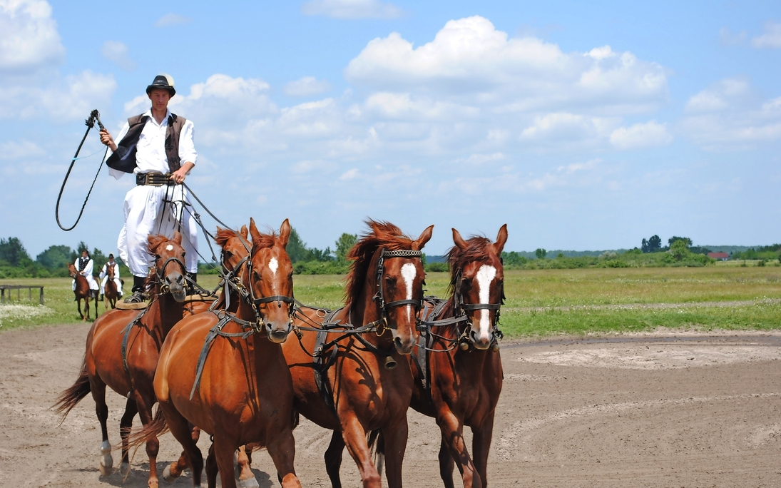 Puszta - Reiter - © DH - Fotolia