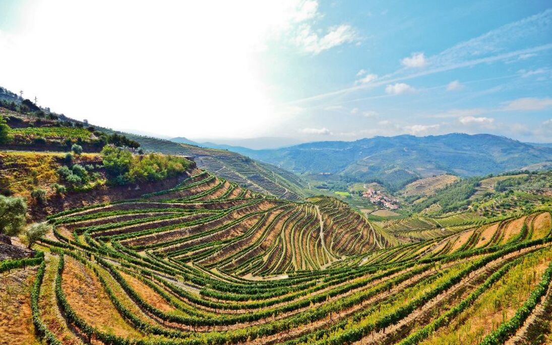 Douro Valley - Weinberge Terrassen bei Peso da Regua, Portugal - © ah_fotobox - Fotolia